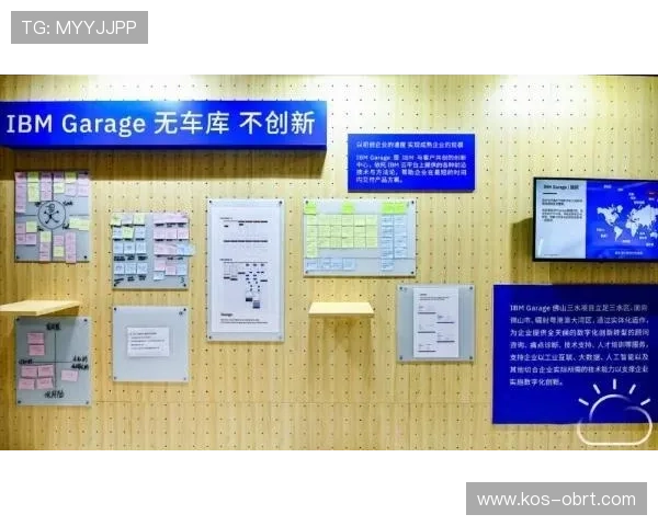 开云体育pin芯技术推动体育行业数字化转型的具体措施与实践经验